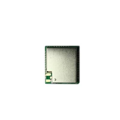HM-6601W-868S2 868MHz LoRaWAN Transceiver Modülü - 1