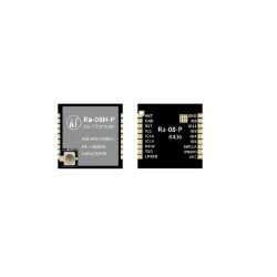 RA-08H-P (ASR6601) LoRaWAN Kablosuz Modül - AI Thinker