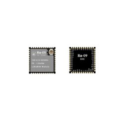 RA 09 LoRaWAN / Kablosuz Haberleşme Modül - AI Thinker