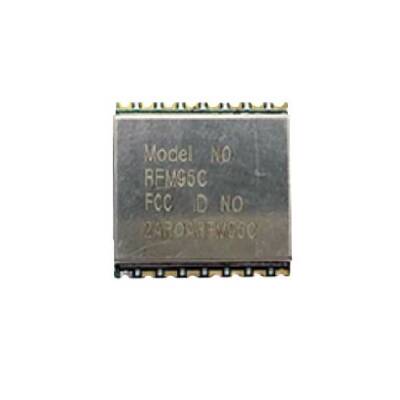 RFM95CW-868S2R RF LoRa Transceiver Modül - 1