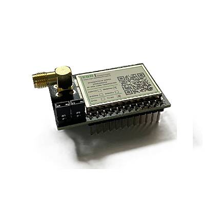 STR09RSH4 433MHz RF MCU+LoRa Transceiver Modülü (STM32WLE5x, +20dBm RF Çıkış Gücü, SAW Filtre, TCXO, RF Ekran, SMA RF Konnektör) - 1